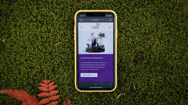 luke.fi_1