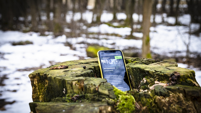 The phone is on a tree stump in the winter forest