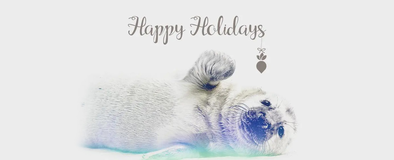 Happy Holidays text with a picture of a seal