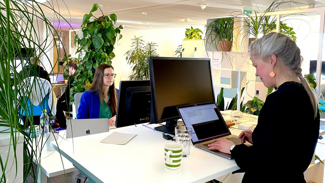 Mearra people working at the Helsinki office