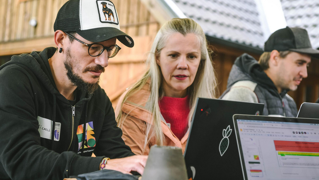 People working together around a table with their laptops